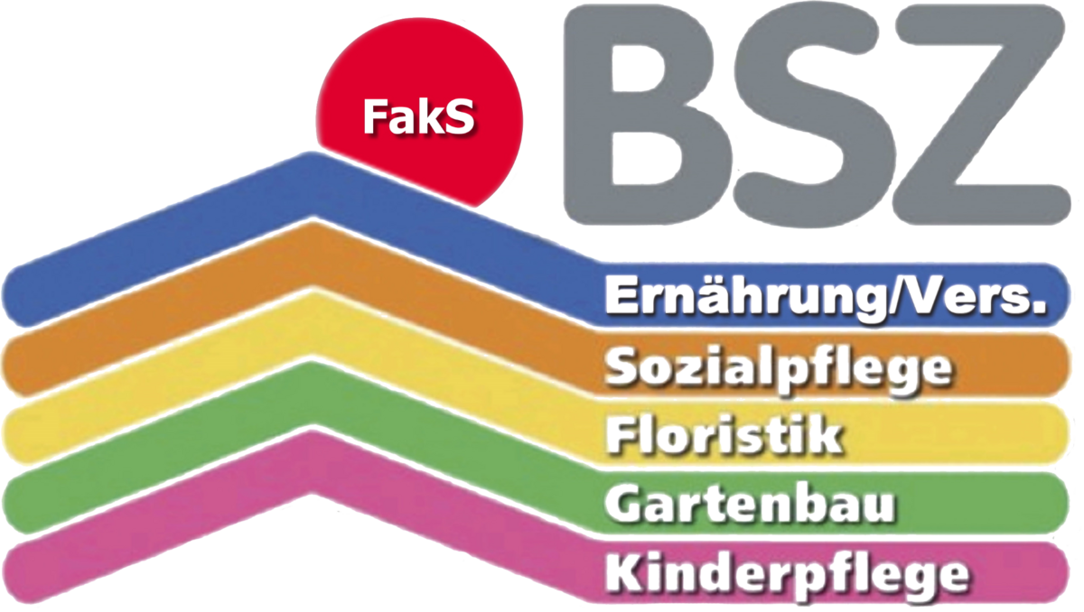 Staatliches BSZ Regensburger Land: Zur Startseite